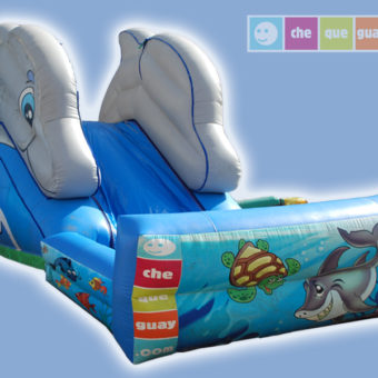Tobogán Acuatico/Piscina Delfín