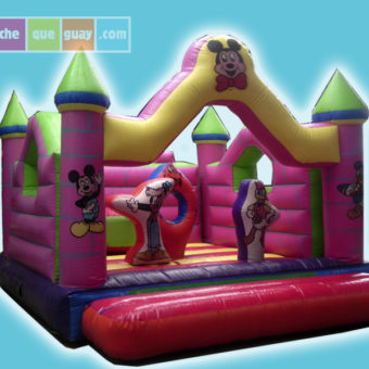 Castillo Fucsia 4X4
