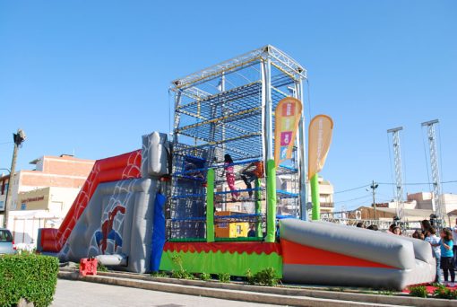 Chequespider 15x4 - Imagen 6