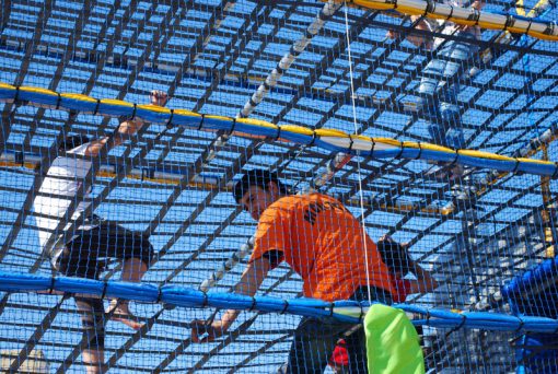 Chequespider 15x4 - Imagen 7