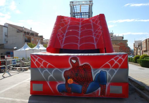Chequespider 15x4 - Imagen 8