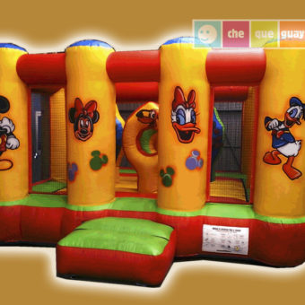 Castillo Disney 4x4