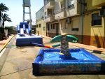 Piscina peques con palmera 3x3 - Imagen 2