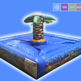 Piscina peques con palmera 3x3