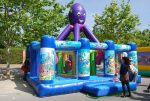 Pulpo 6x6 - Imagen 5
