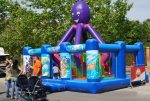 Pulpo 6x6 - Imagen 4
