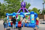 Pulpo 6x6 - Imagen 2