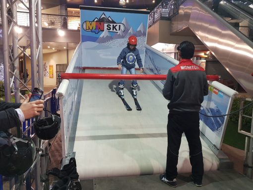 Simulador de Ski - Imagen 2